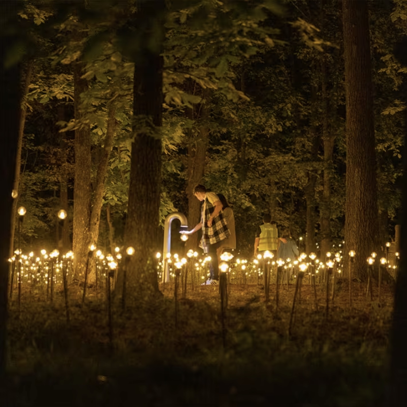 Rafael Lozano-Hemmer: Jardín inconcluso