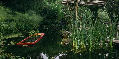 Jardín Botánico del Bosque de Chapultepec